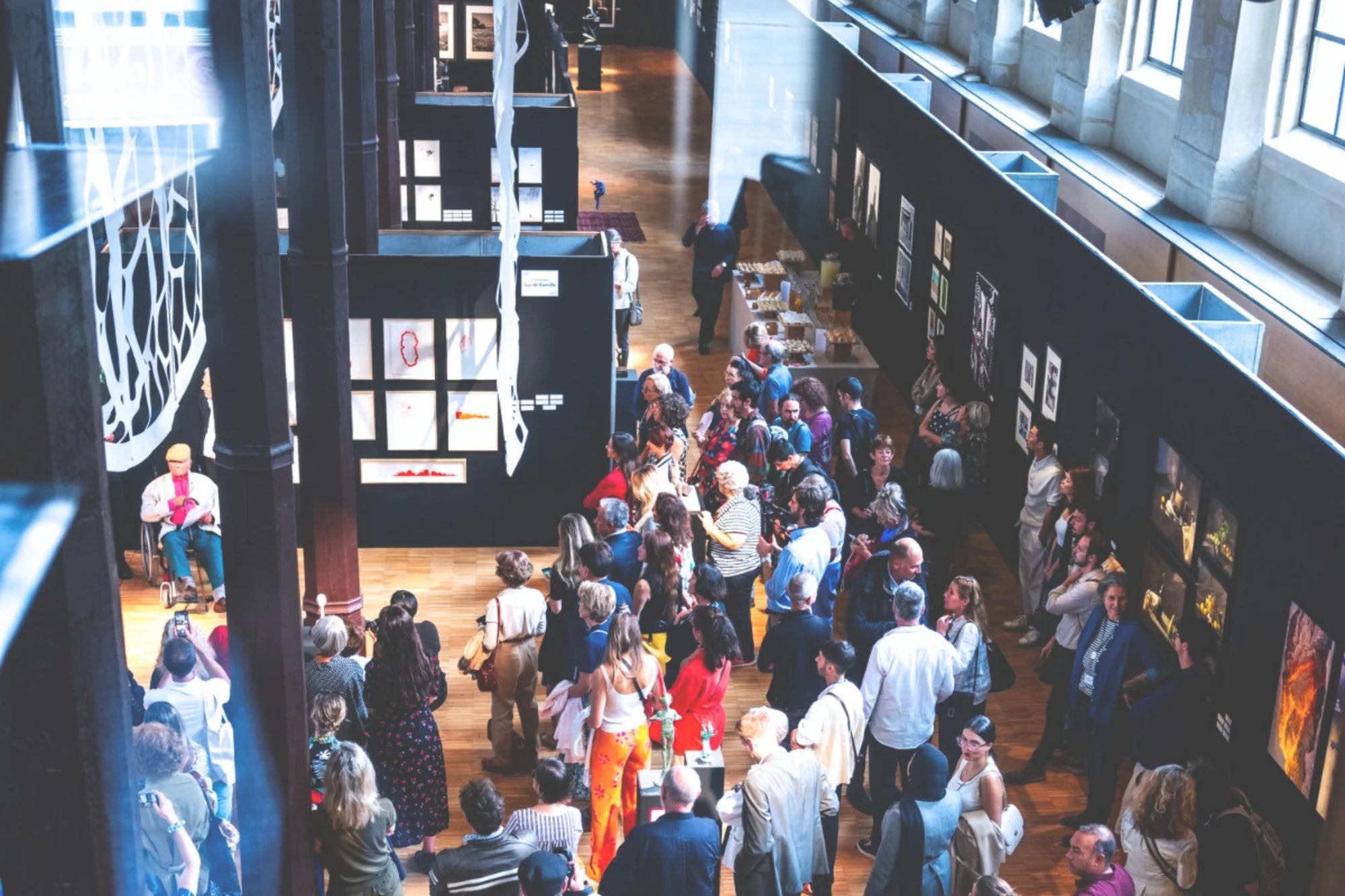 Chloe McCarrick Cyanotype Artist Salon des Beaux Arts