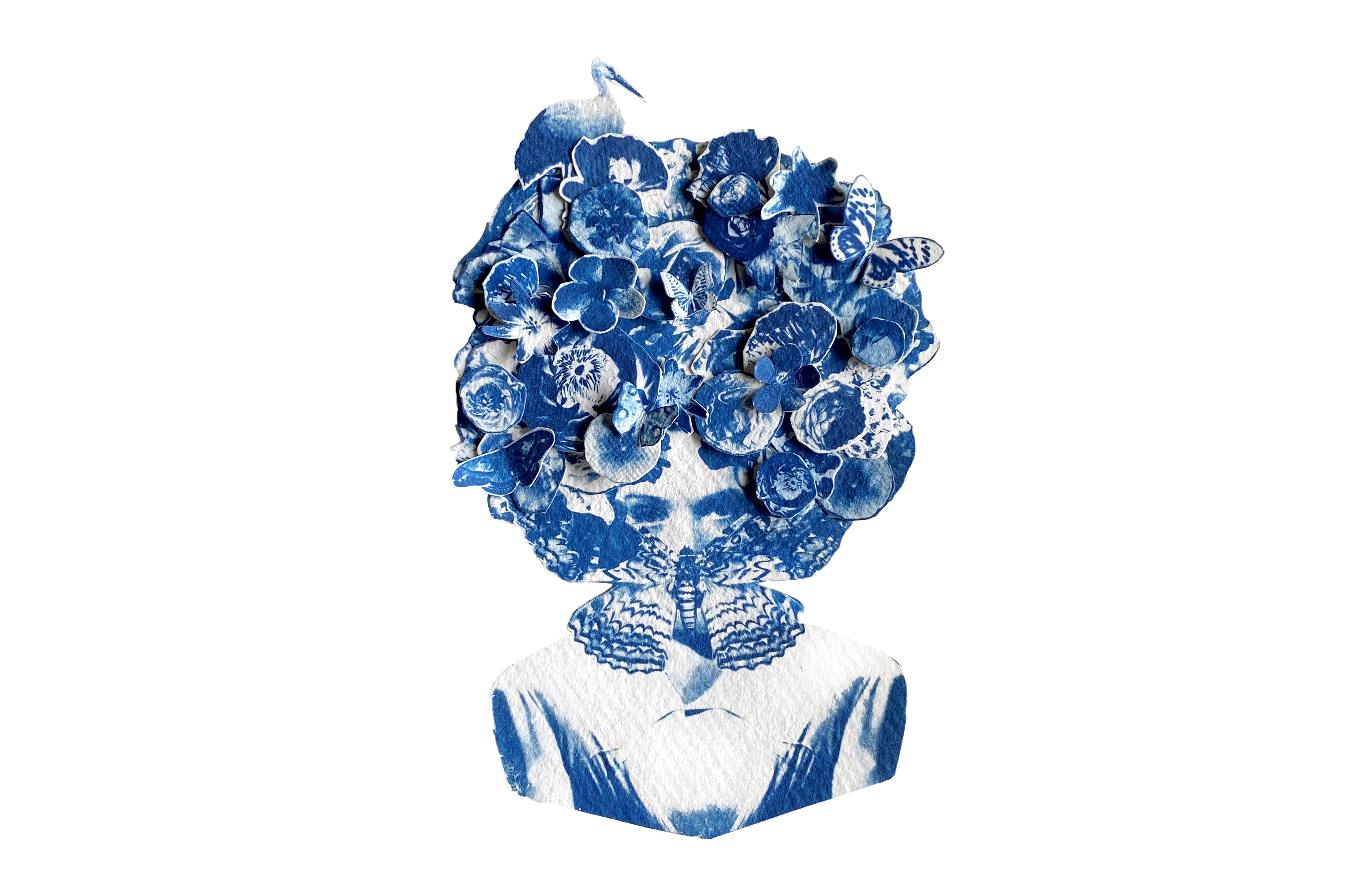 Art Inspired by Maria Sibylla Merian