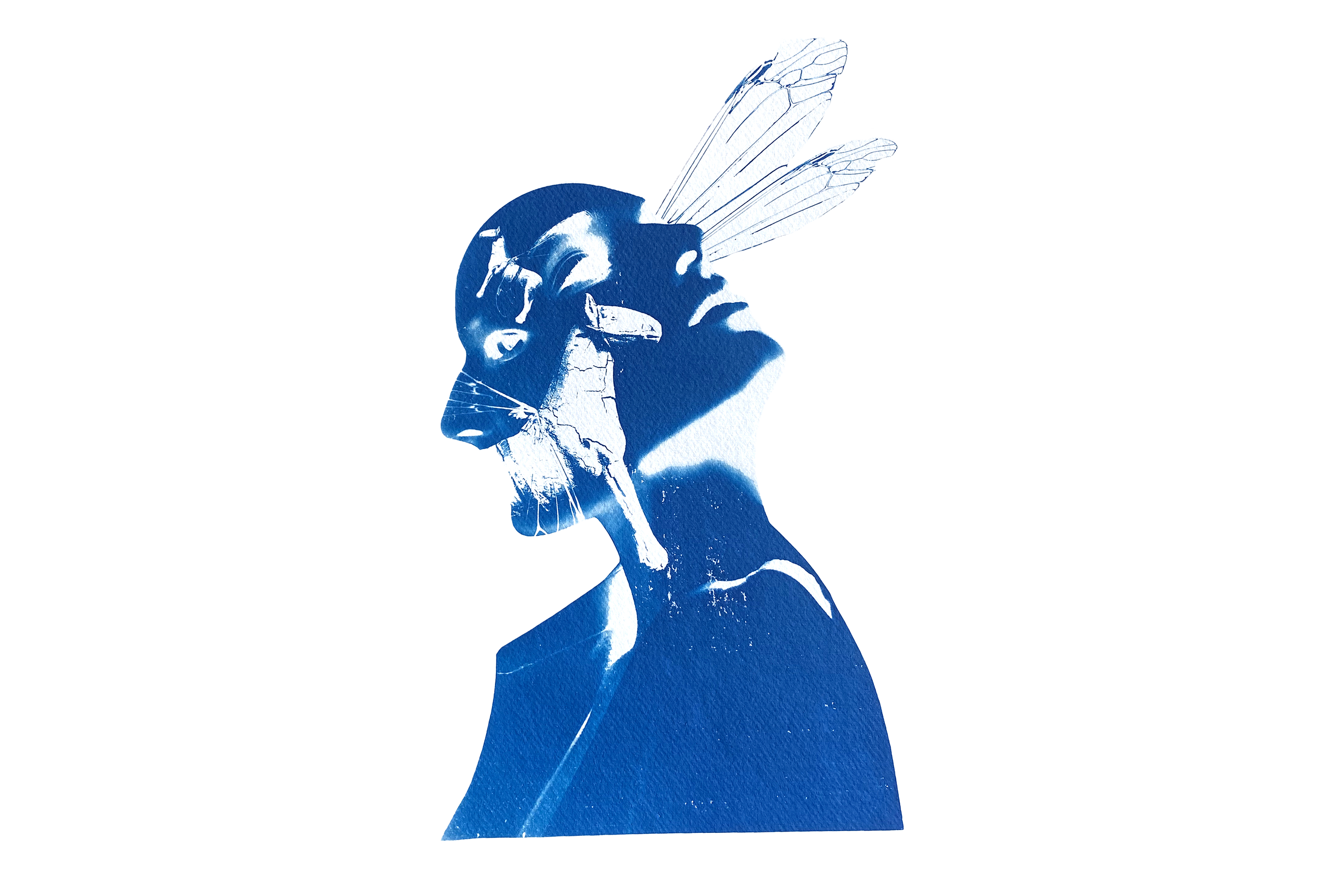 Art Inspired by Ada Lovelace