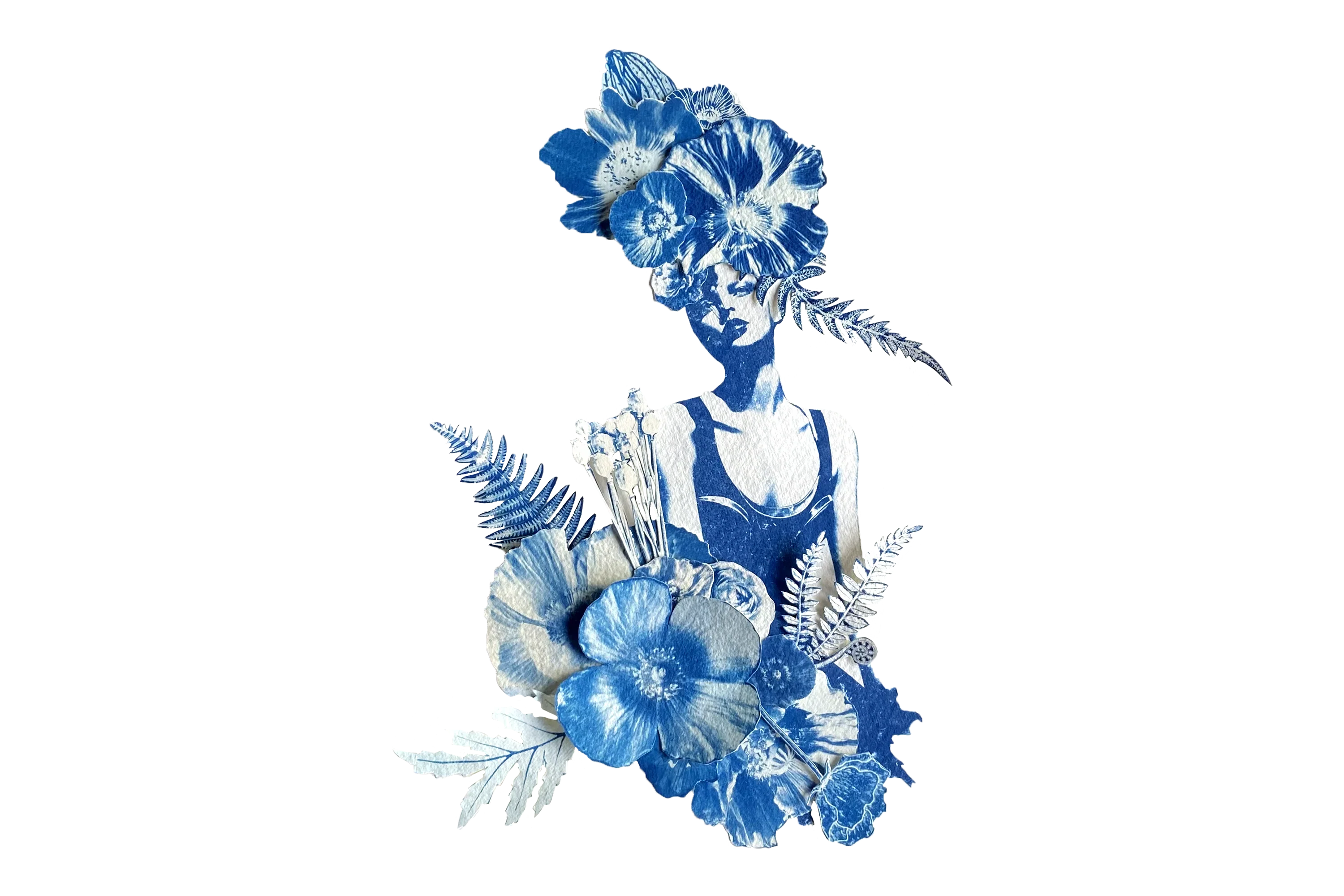 Collection Image