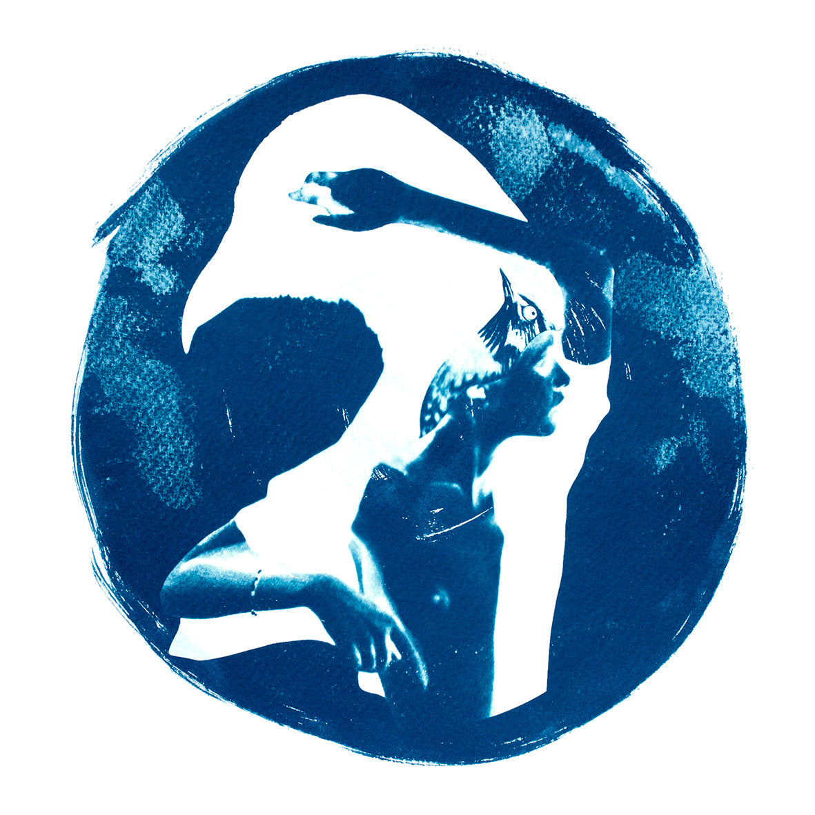 Cyanotype Postcard Set IV SQ