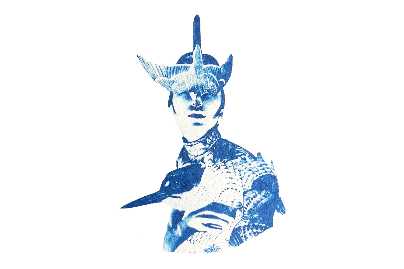 Chloe McCarrick Cyanotype Artist Amelia Earhart Collection