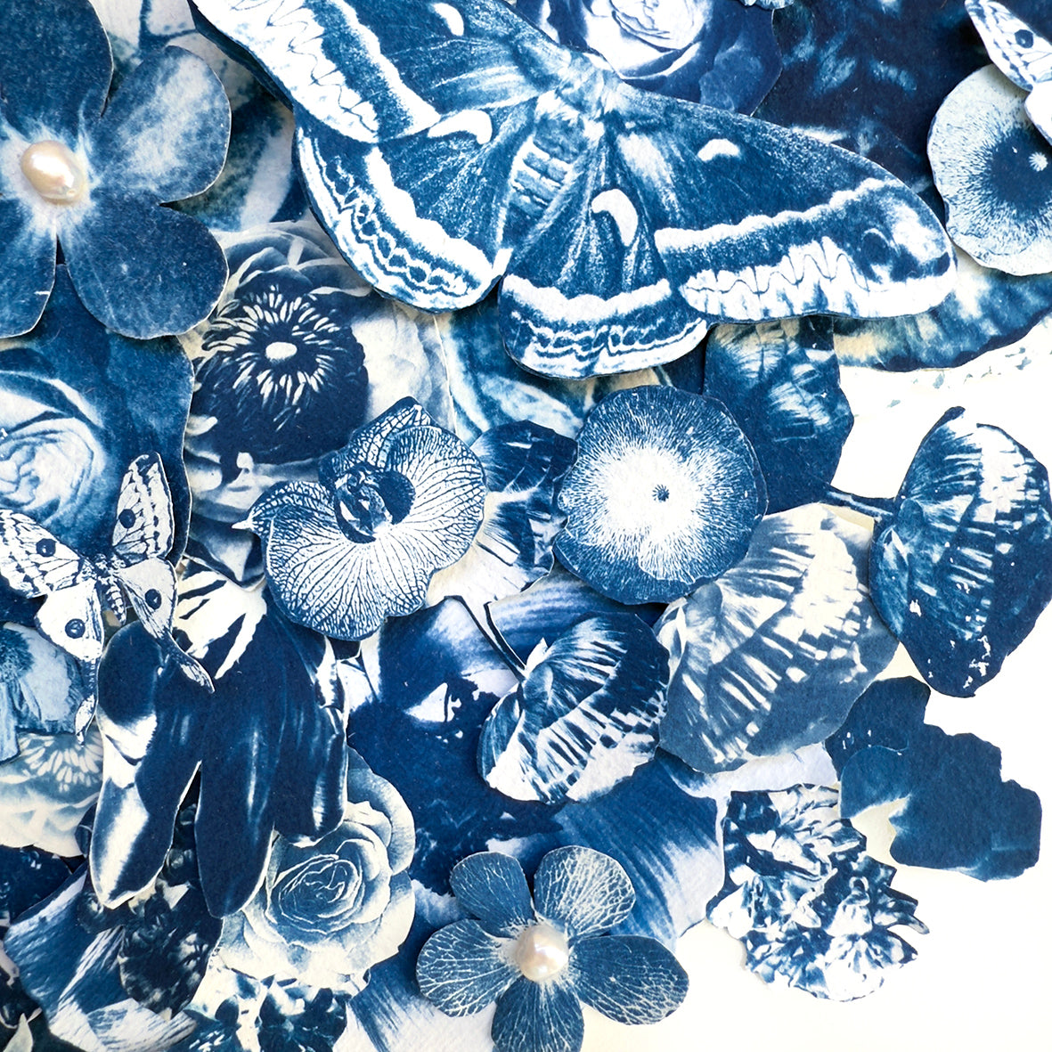 L’âge des découvertes