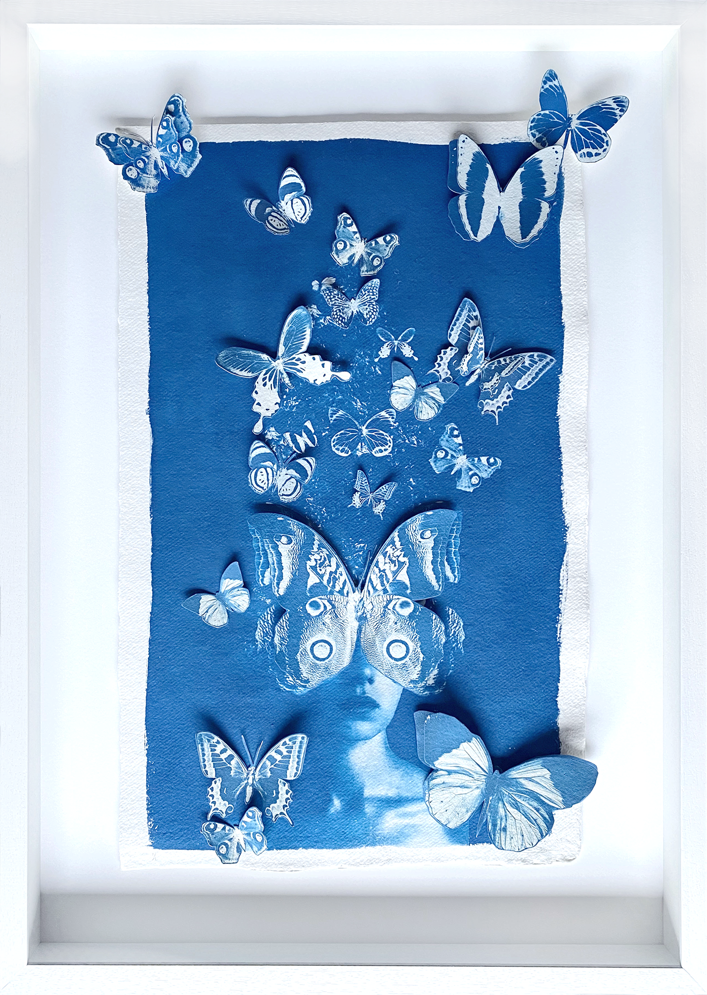 Lady Lepidopterist Study
