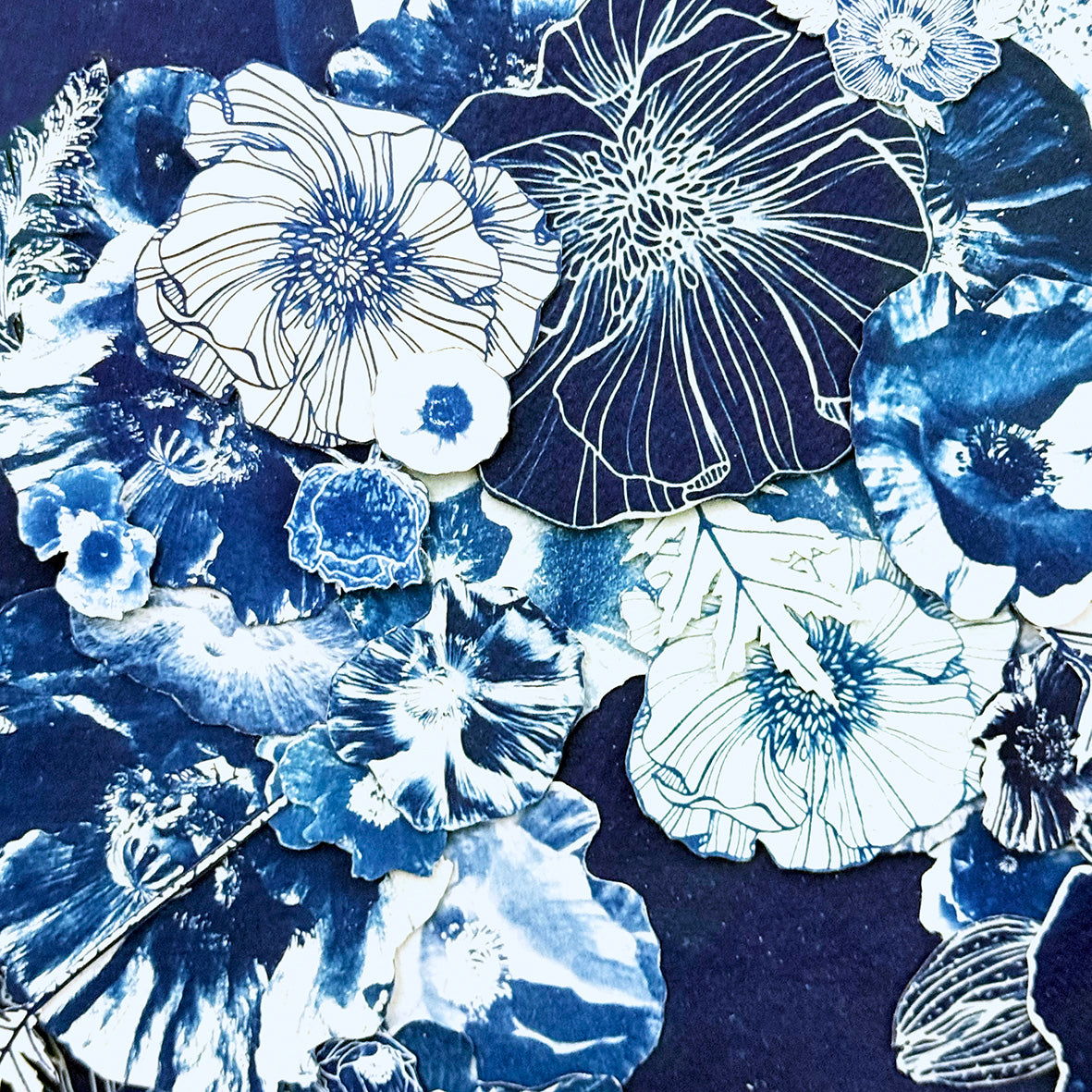 Poppies in October II