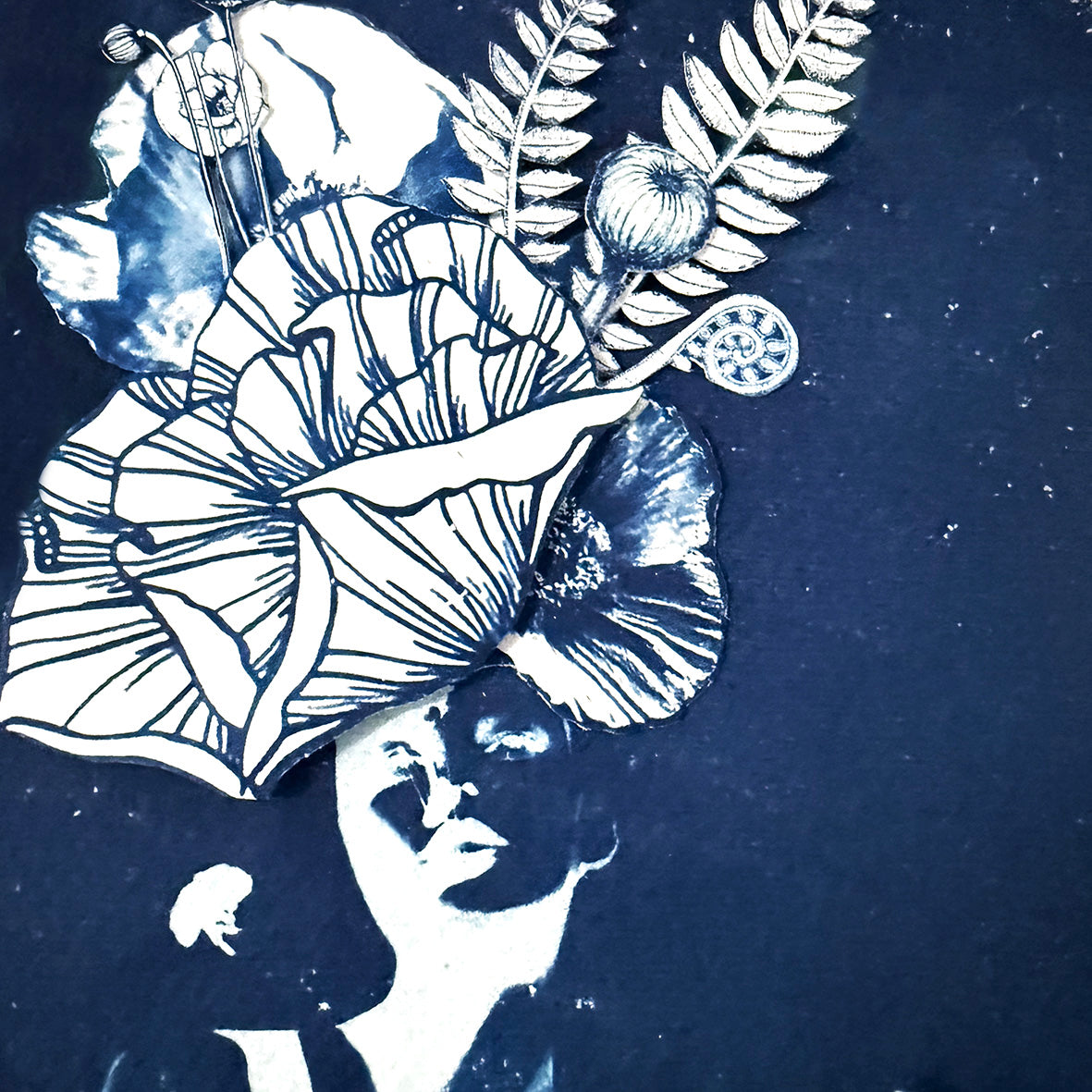 Poppies in October II