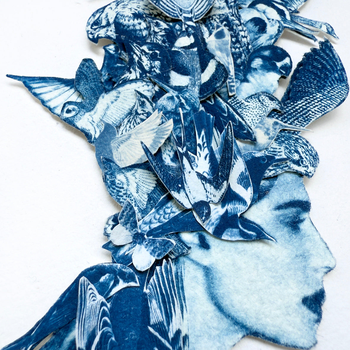 Sky Roads of the World