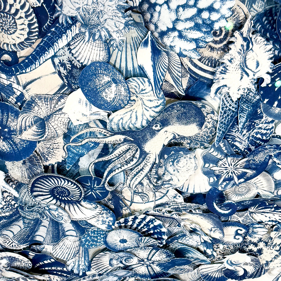 Symphony of the Sea
