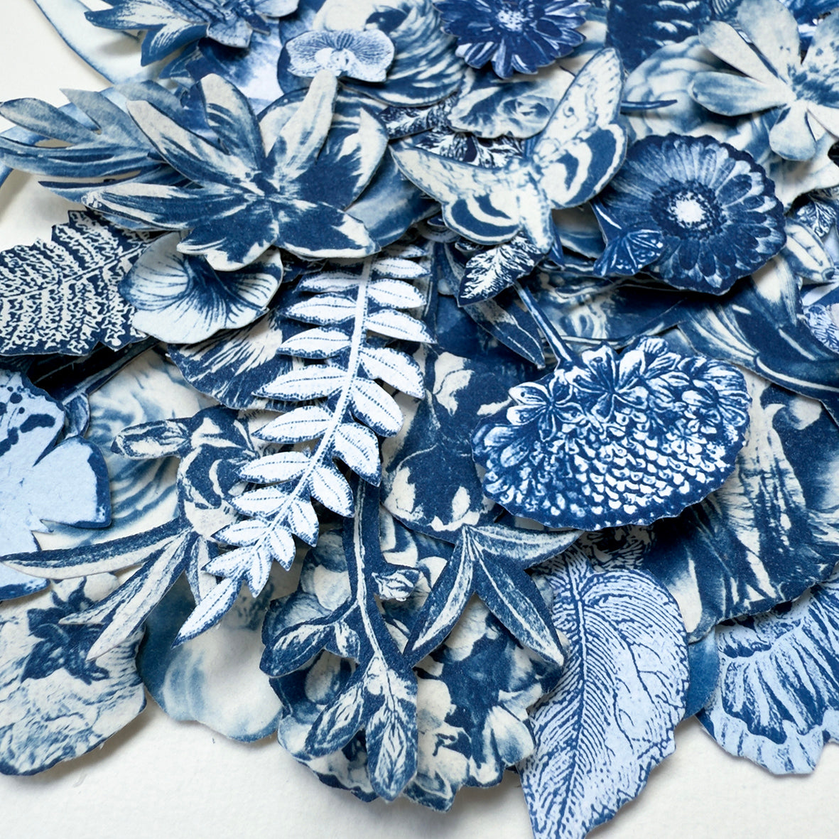 The Power of a Mother's Love