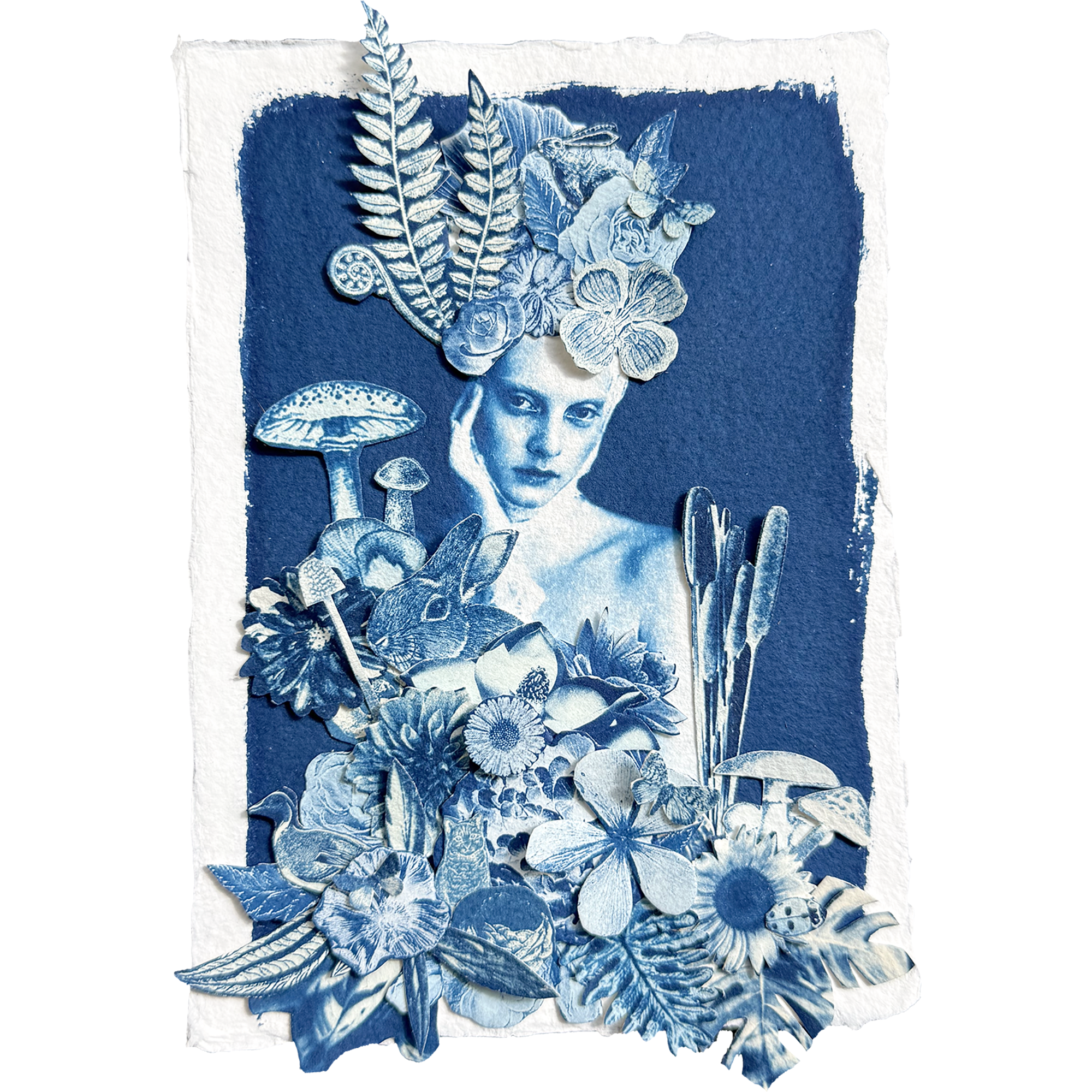 The Whimsical World of Beatrix Potter Study