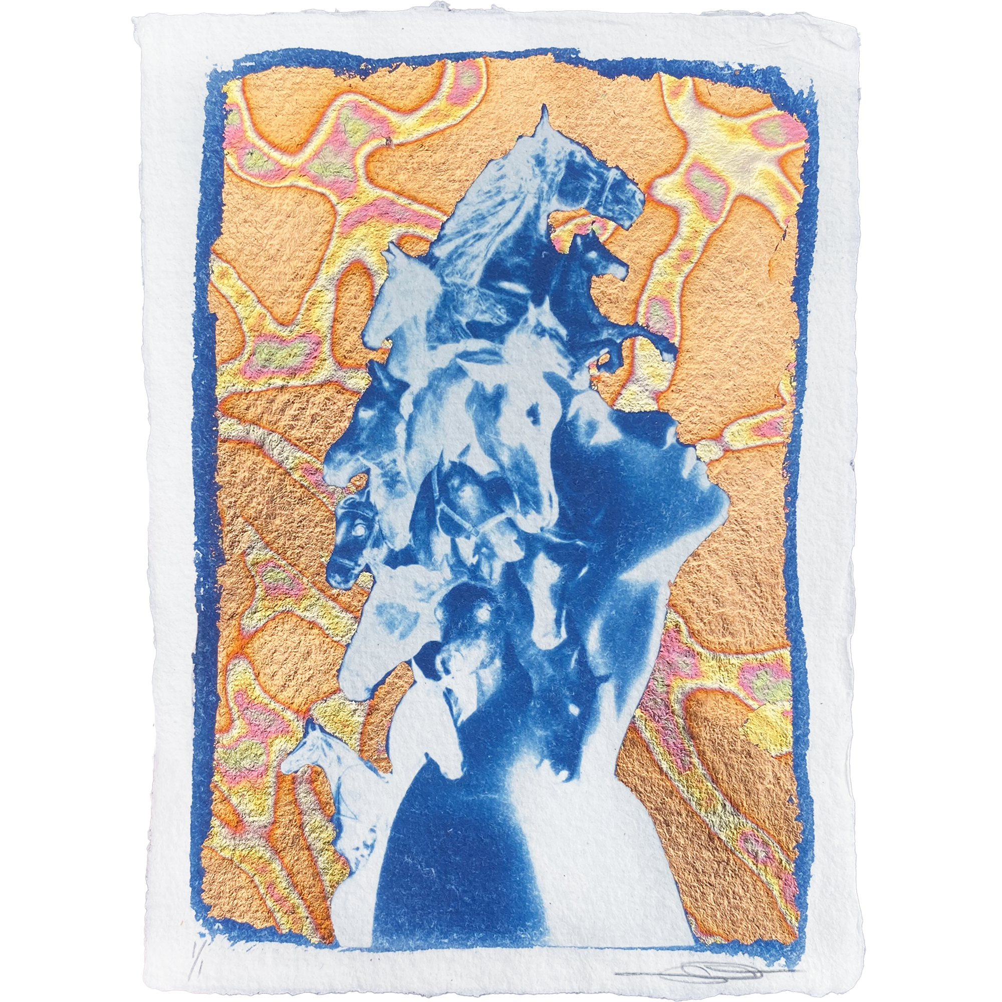Warrior Spirit II Study