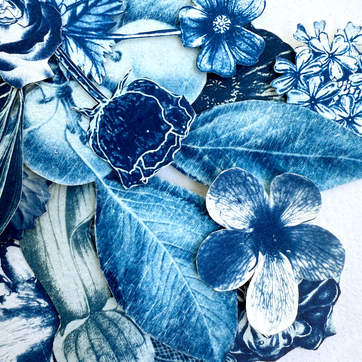 Where Her Daughter Bloomed Study