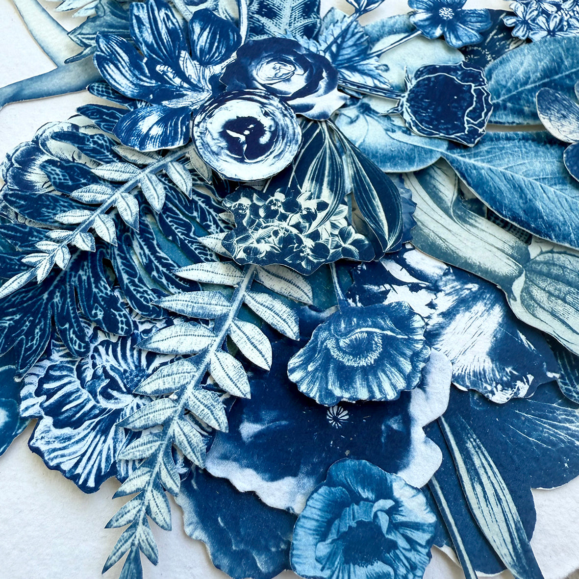 Where Her Daughter Bloomed Study