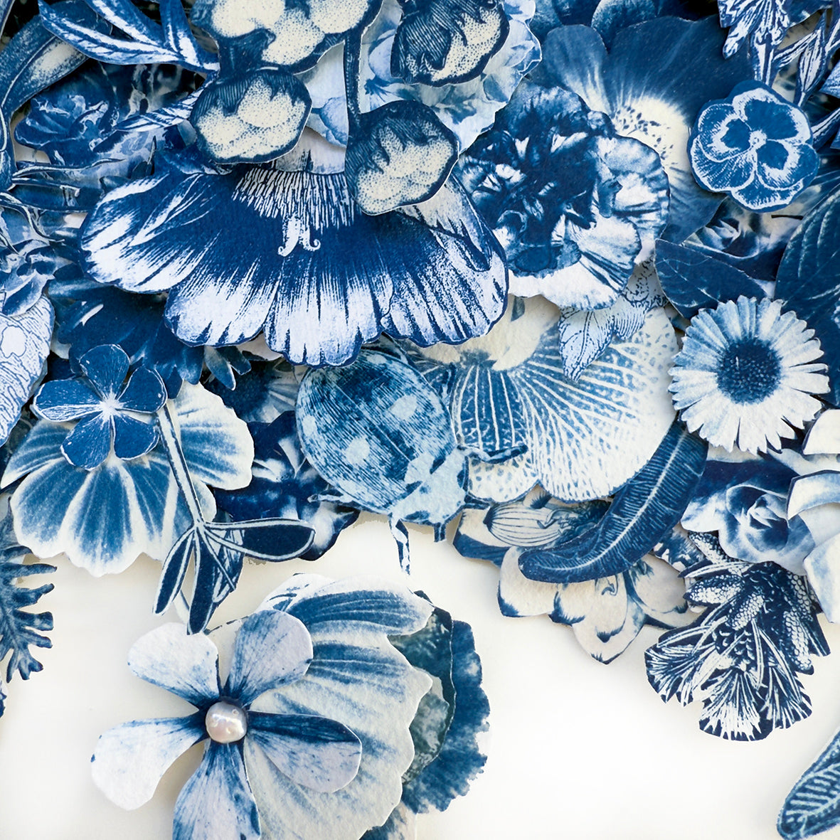 Where Her Daughter Bloomed