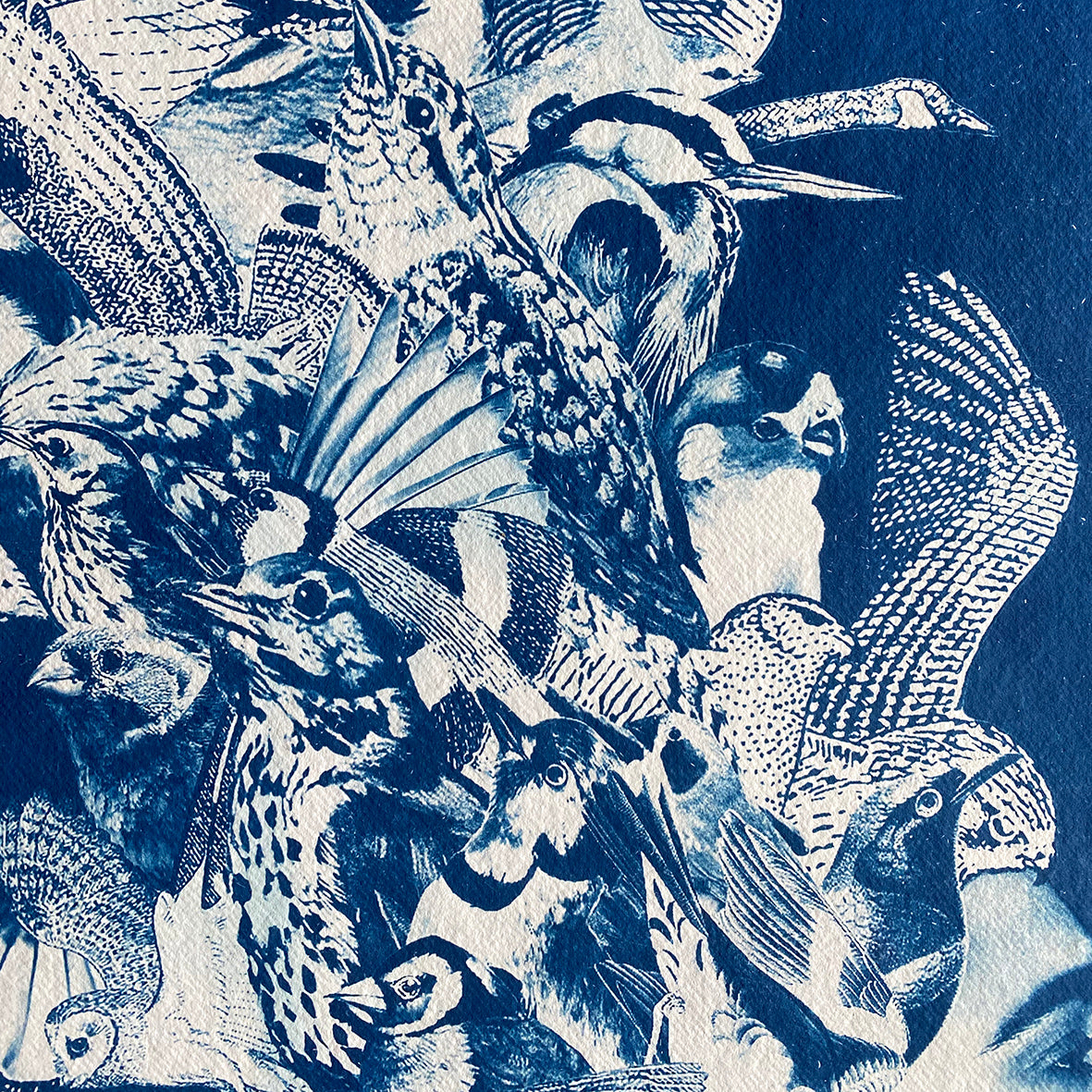 Wings and the Woman XL