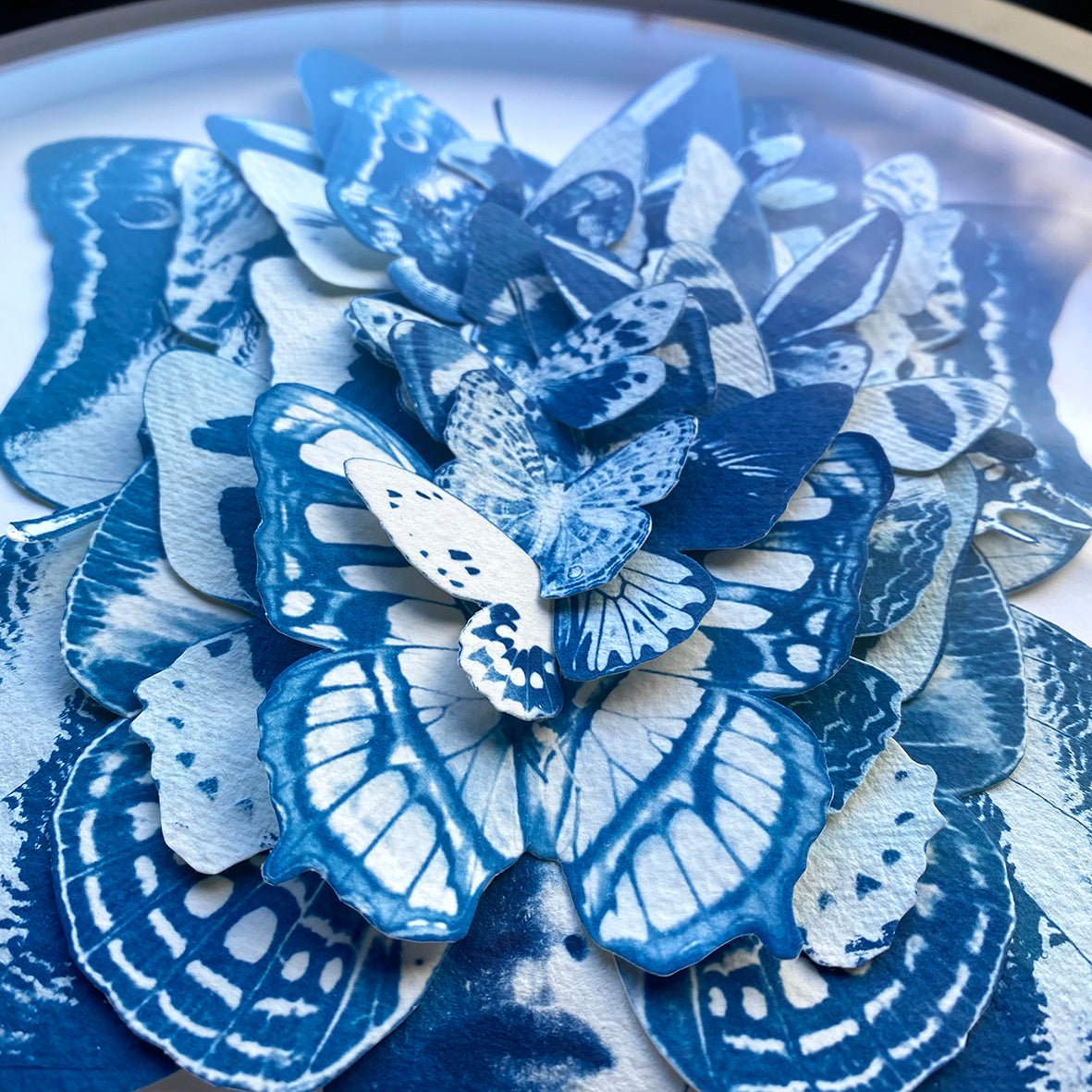 Lady Lepidopterist Diptych