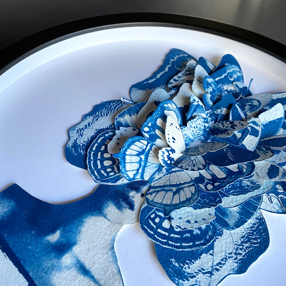 Lady Lepidopterist Diptych