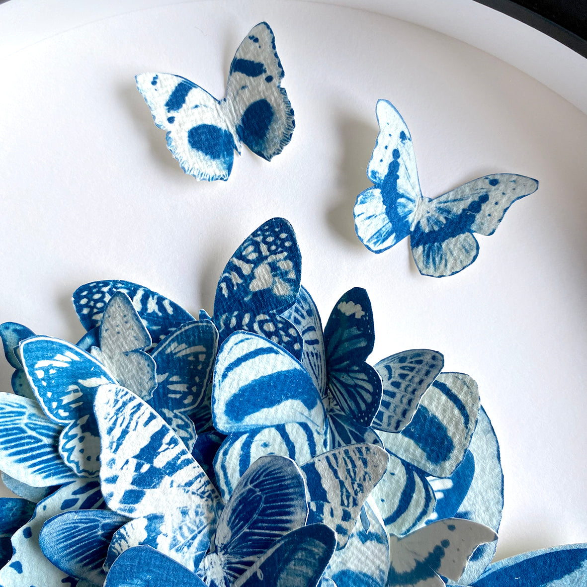 Lady Lepidopterist Diptych