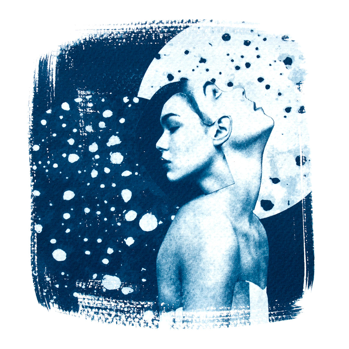 Cyanotype Postcard Set SQ