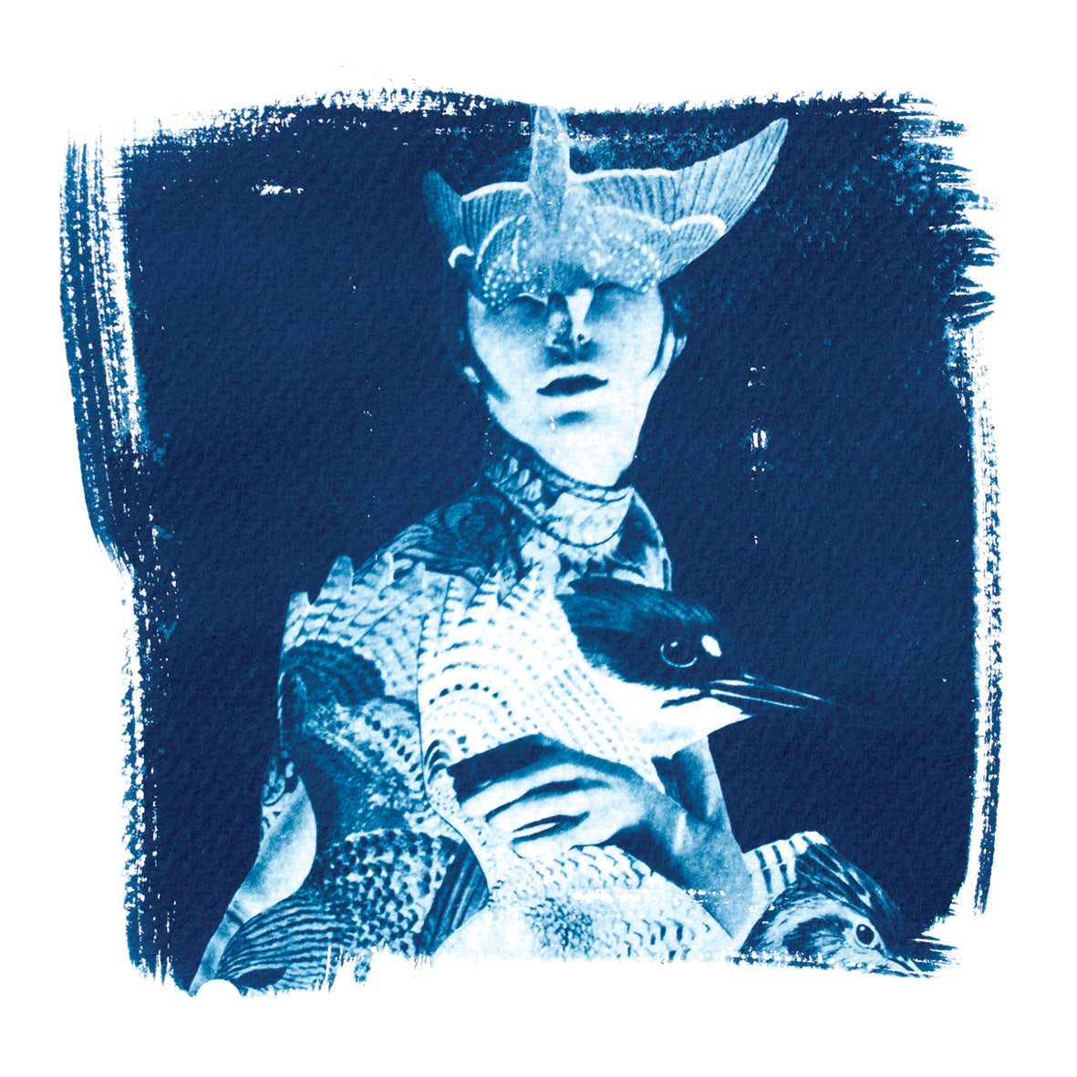 Cyanotype Postcard Set SQ