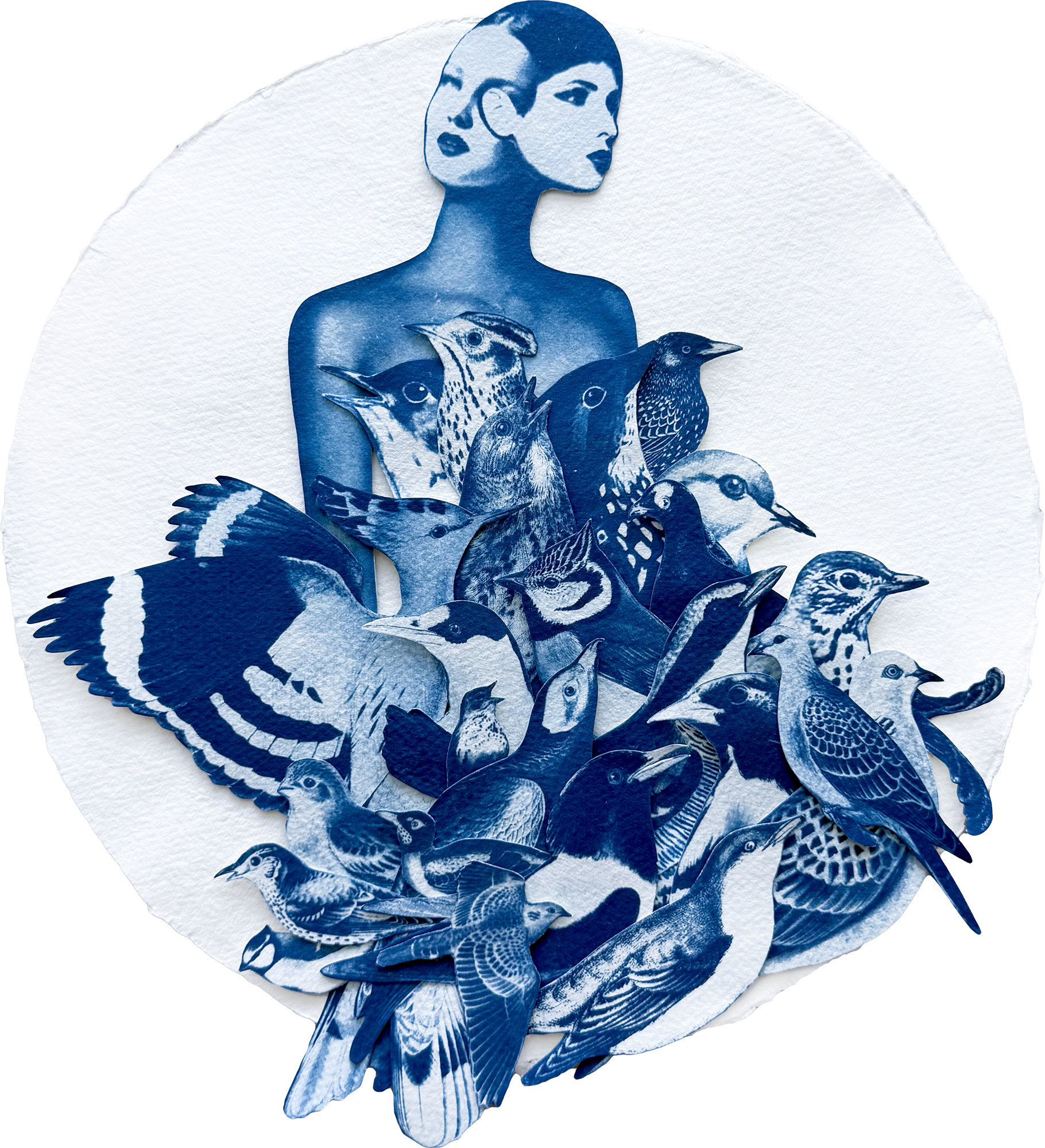 Feathered Lament