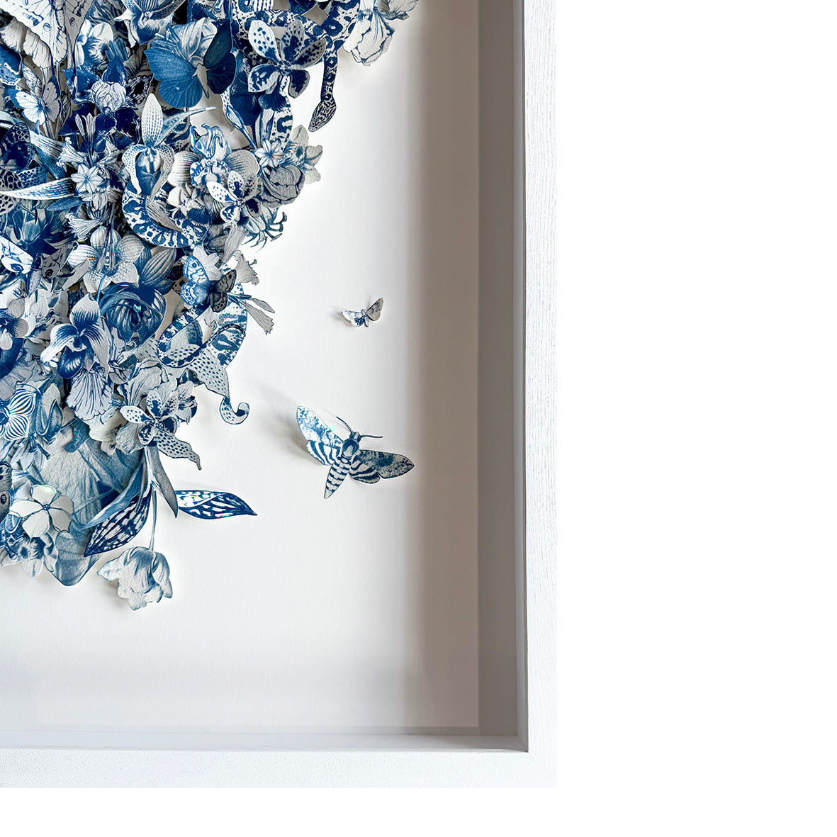 La métamorphose de Loïe Fuller