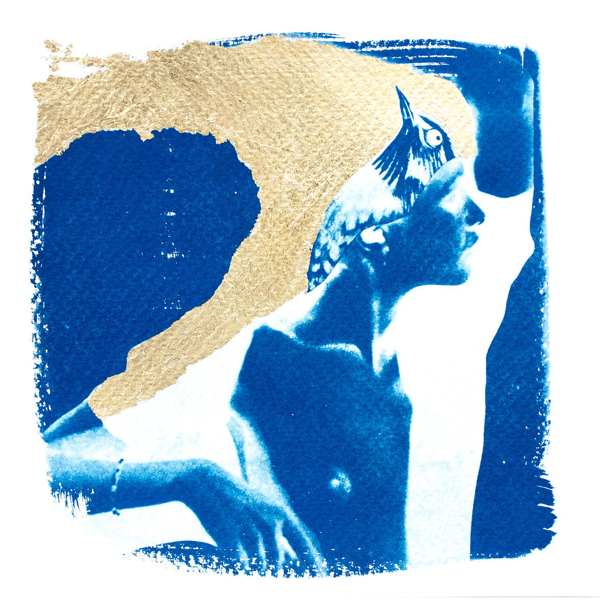 Cyanotype Postcard Set II SQ