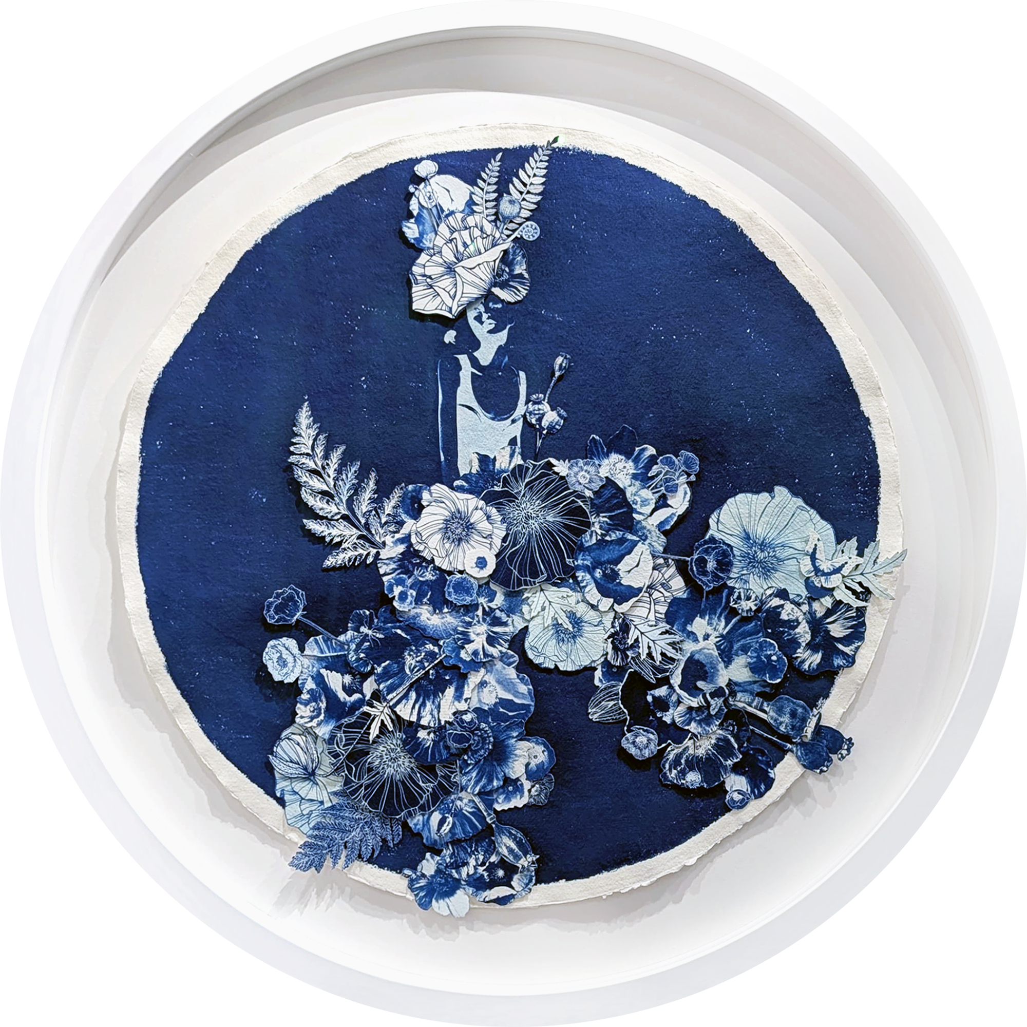 Poppies in October II