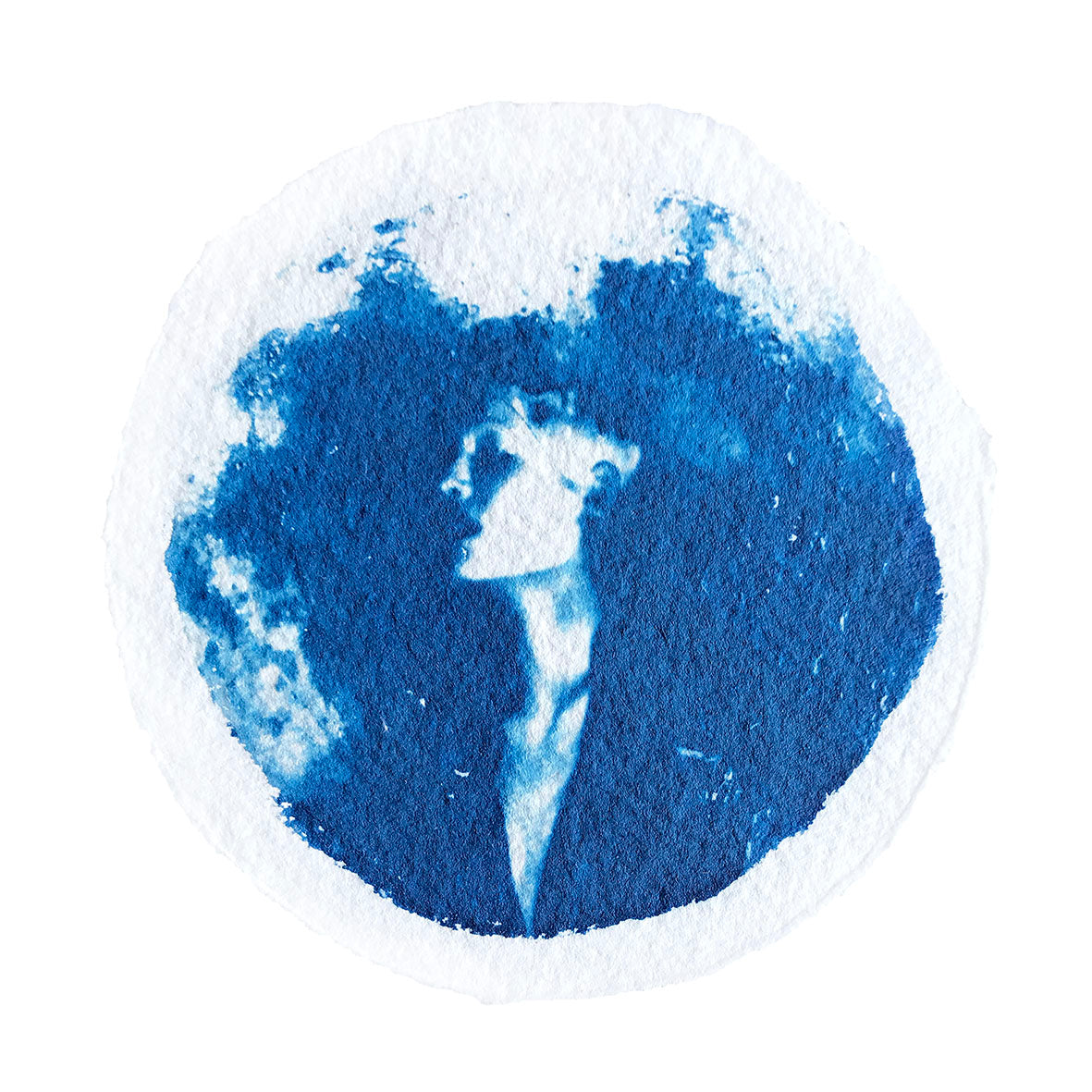 Cyanotype Postcard Set IV SQ