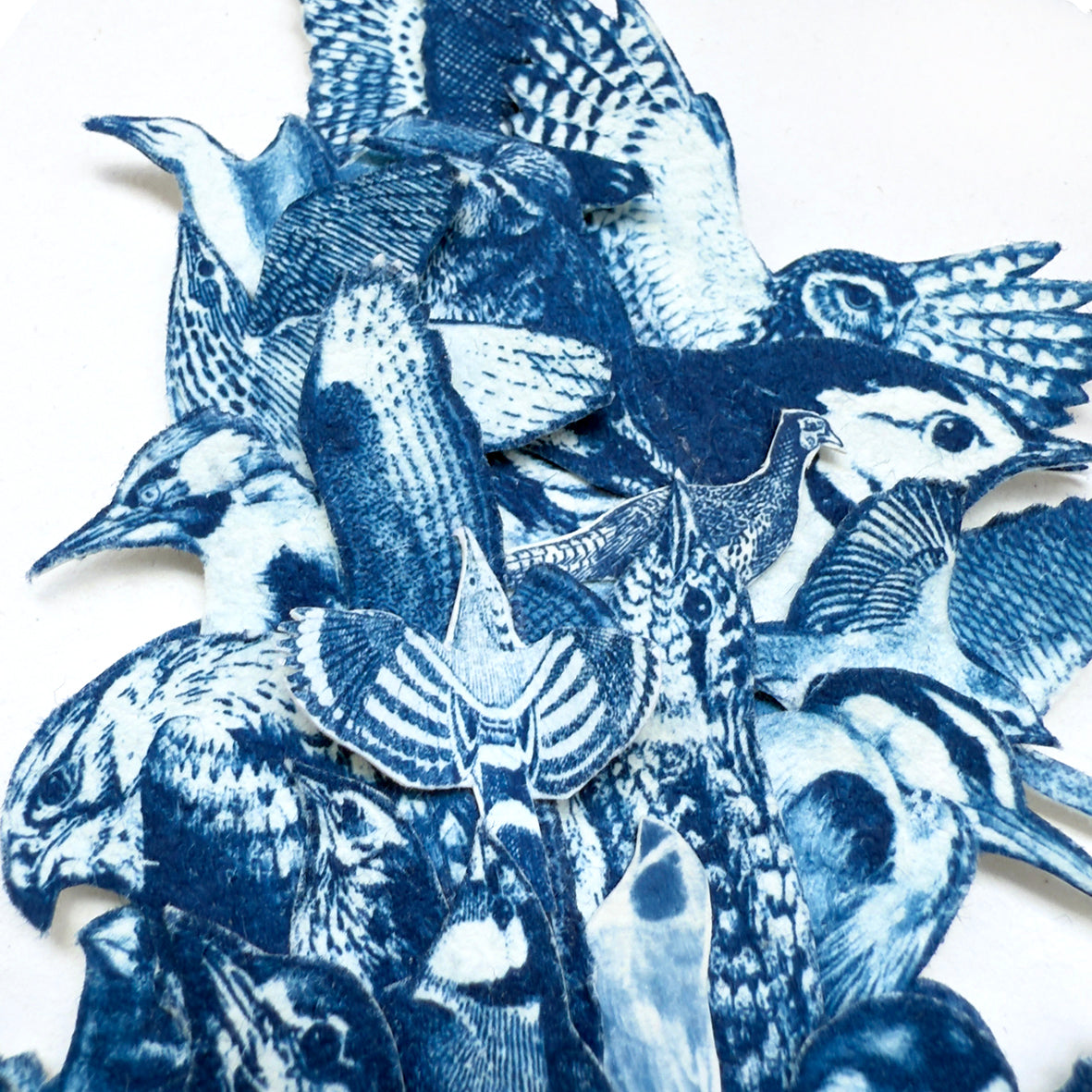 Sky Roads of the World