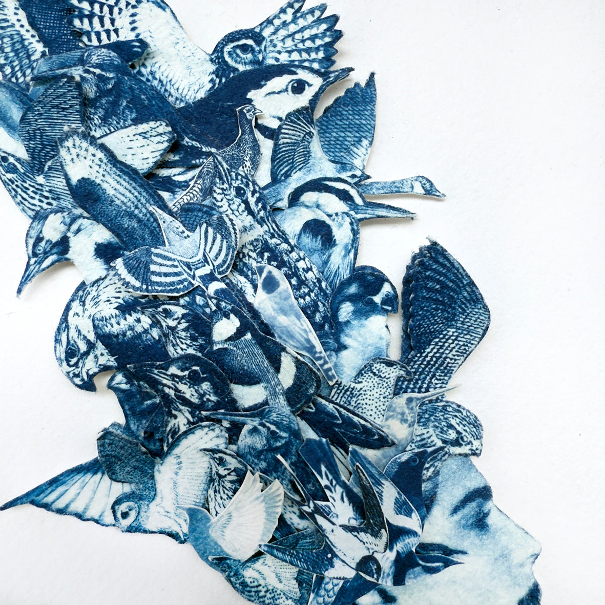 Sky Roads of the World