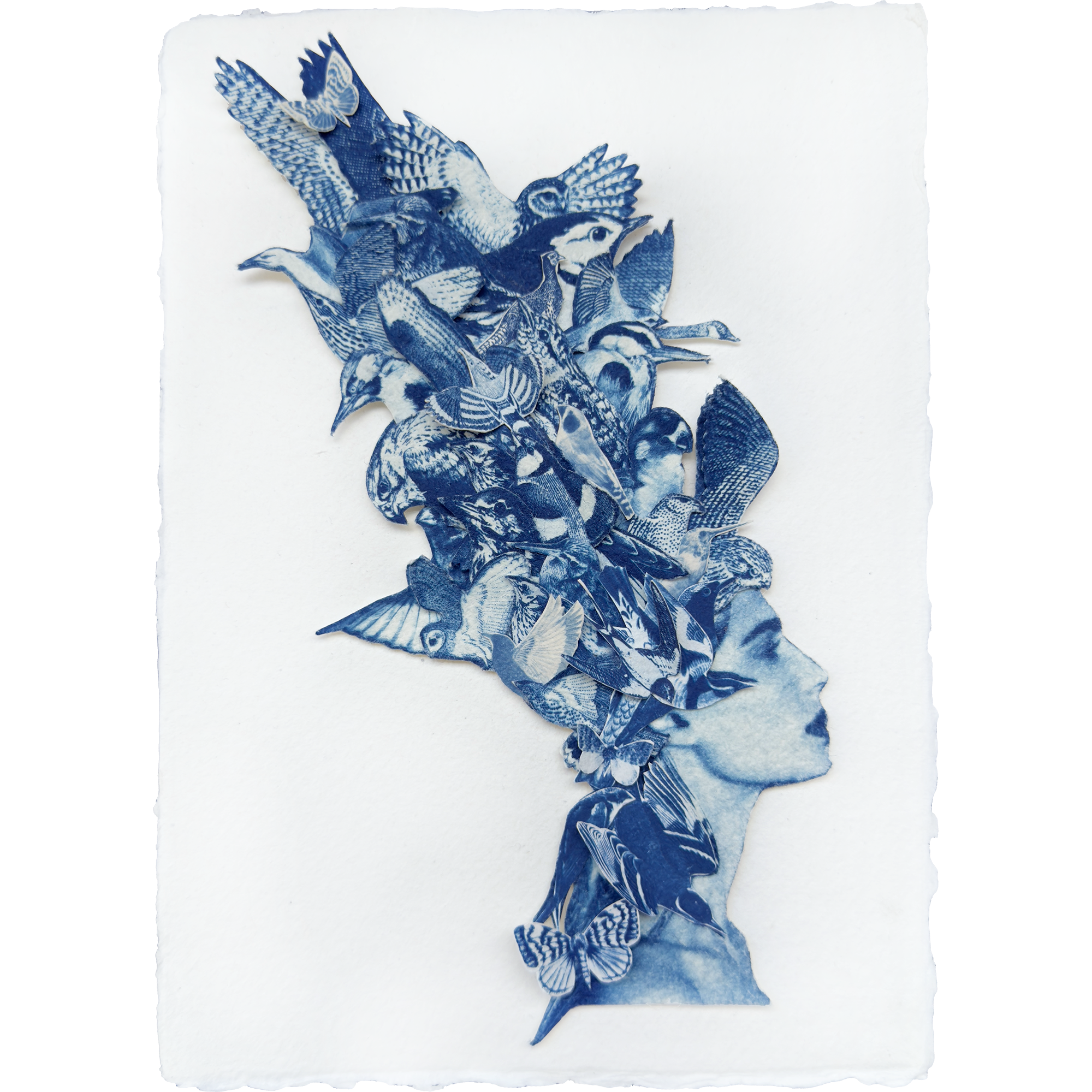 Sky Roads of the World