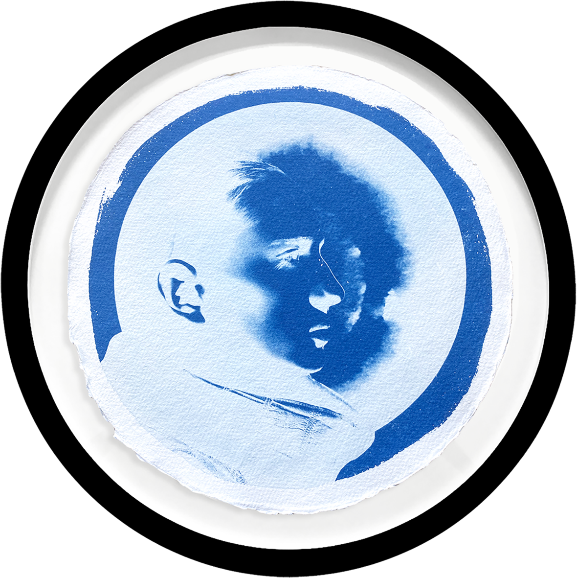 The Galactic Novae