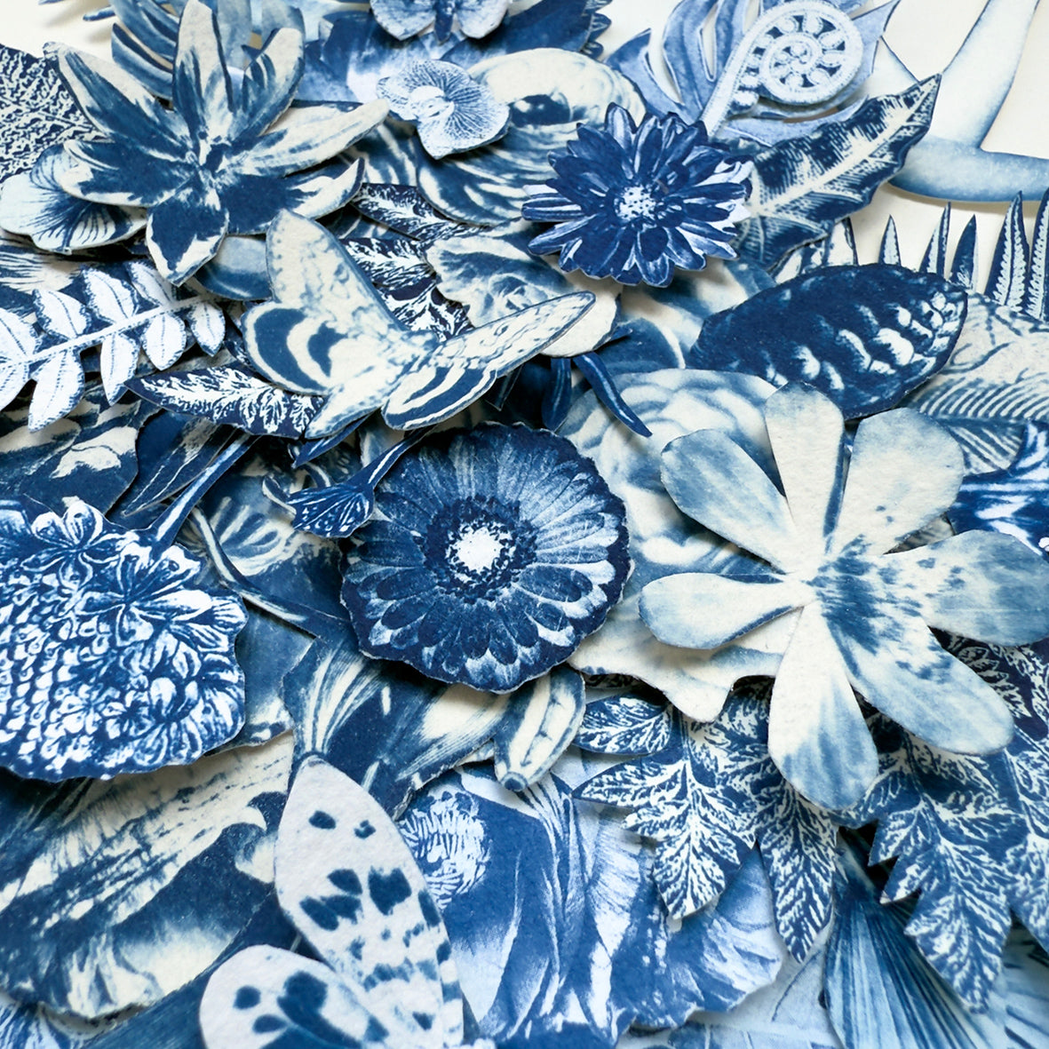 The Power of a Mother's Love