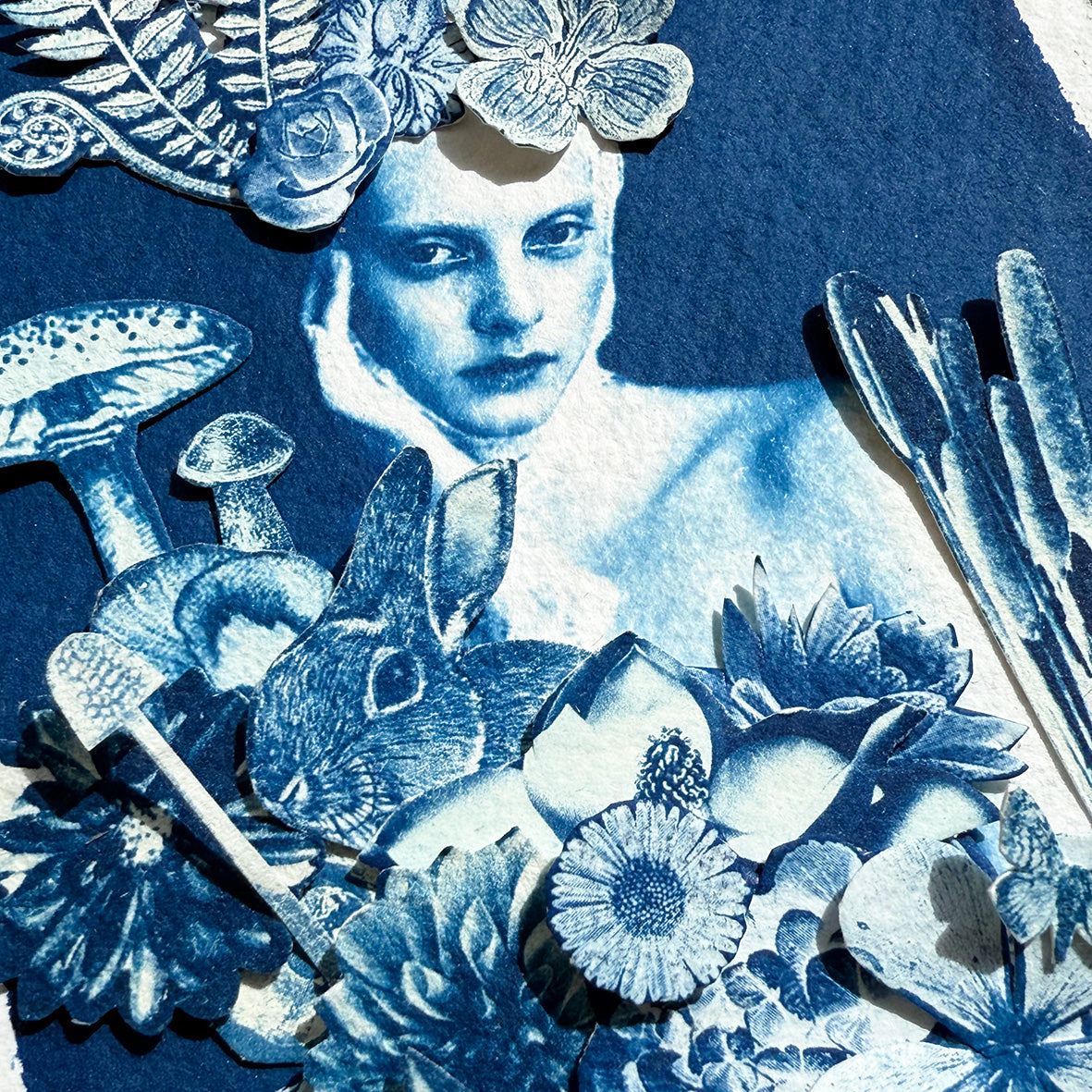 The Whimsical World of Beatrix Potter Study