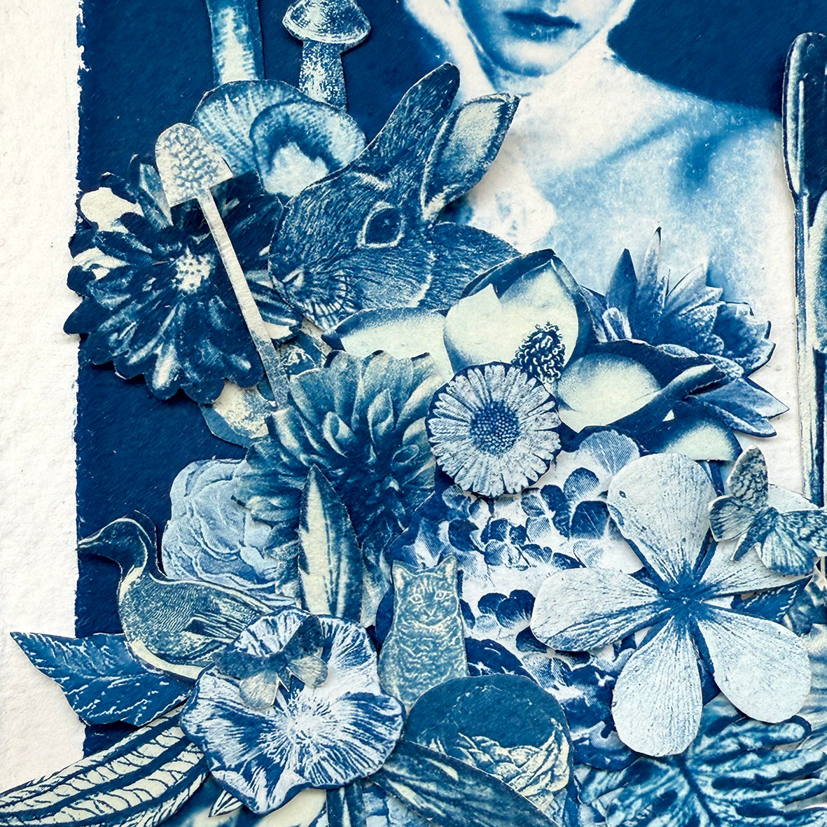 The Whimsical World of Beatrix Potter Study