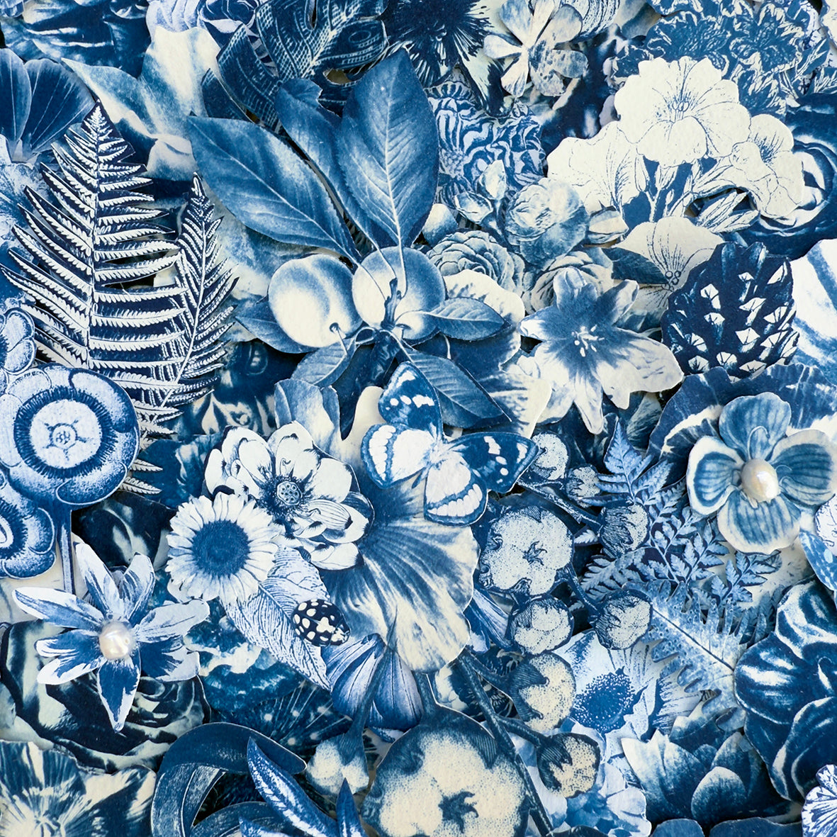 Where Her Daughter Bloomed