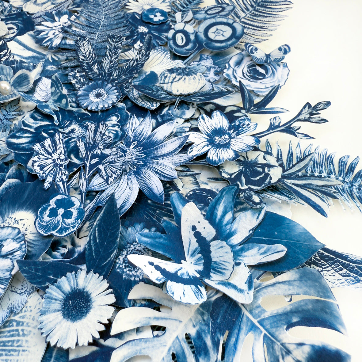 Where Her Daughter Bloomed