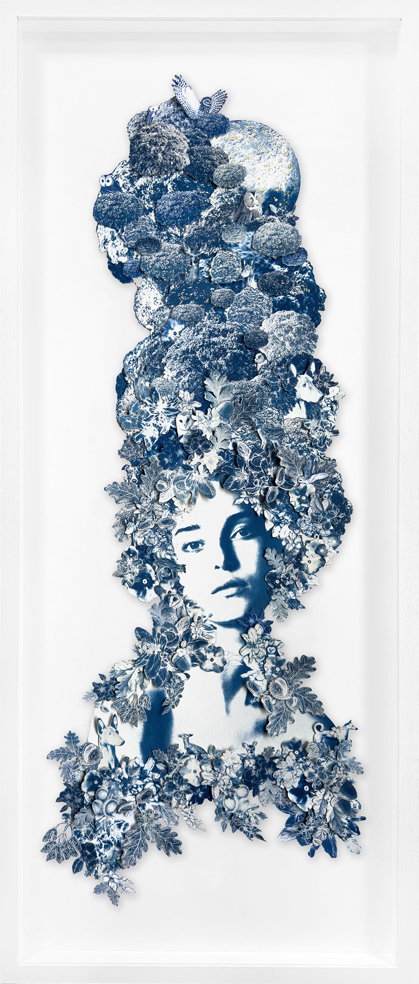 Whisperer of the Woodland