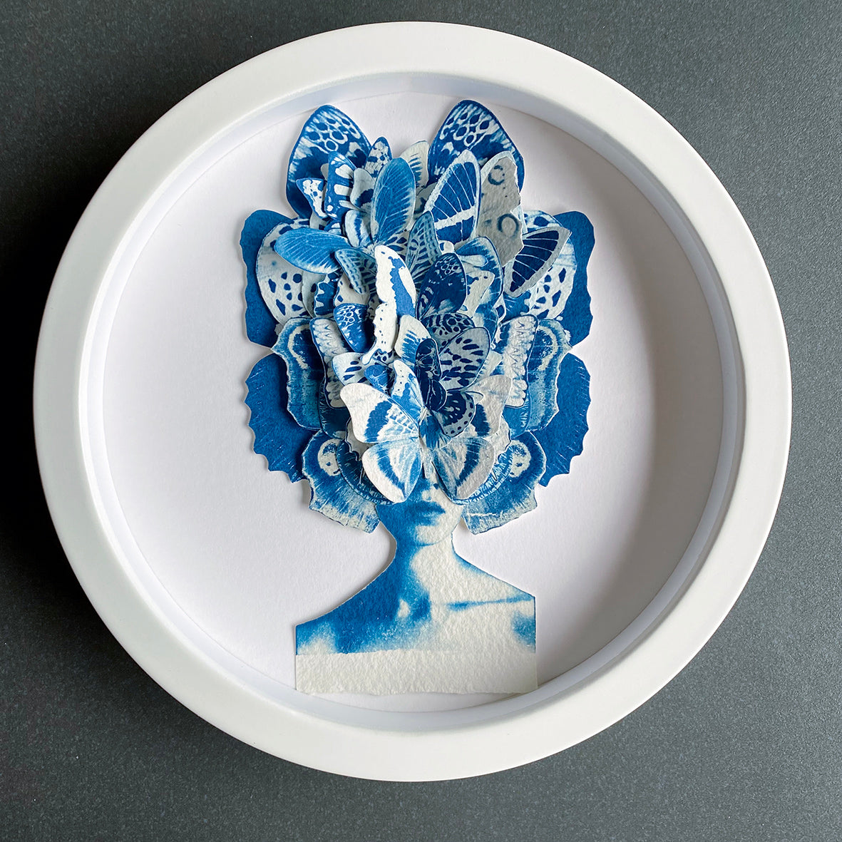 Lady Lepidopterist Study in 3-D