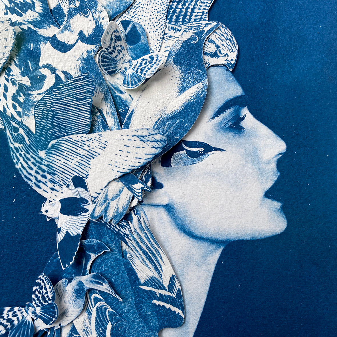 Wings and the Woman