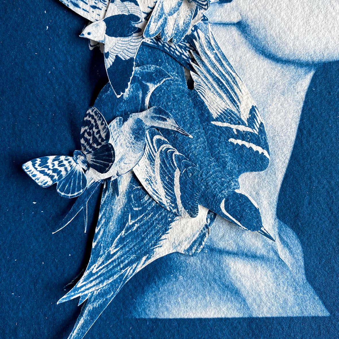 Wings and the Woman